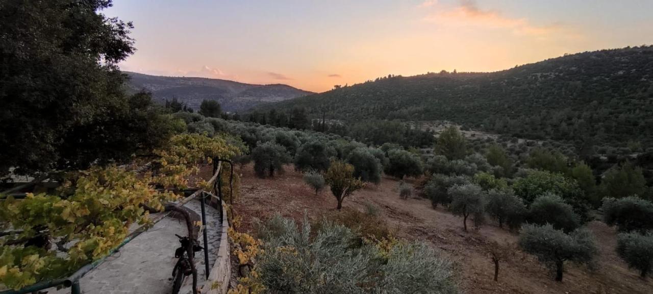 ‘Ajlūn Oak Farm مزرعة الملّولゲストハウス エクステリア 写真